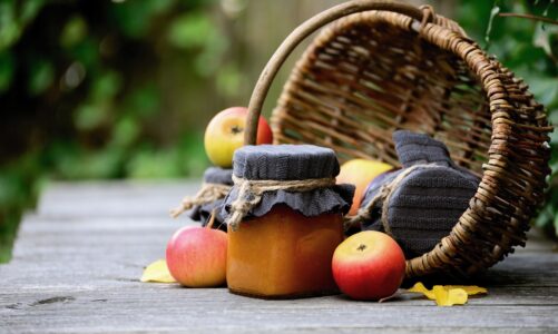 Top Tips for Choosing the Right Gardening Equipment: Your Complete Guid