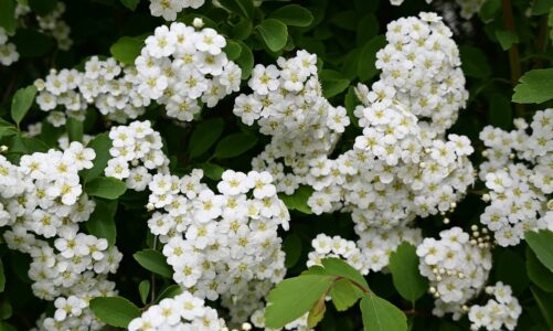 How to compost at home: Rich soil for gardenin