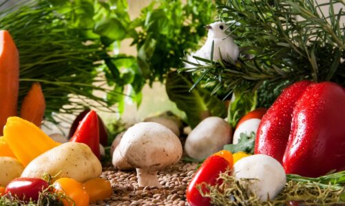 The best garden hoses, tested, with expert advice from gardener